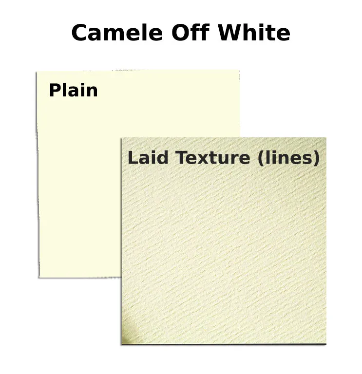 A4 Royal Exec.Bond Paper 100gsm-Camele Off White (Pack of 100) Laid Texture (lines) / Plain