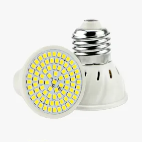 Ampoule E27 Led Encastrable (48,60,80 leds)