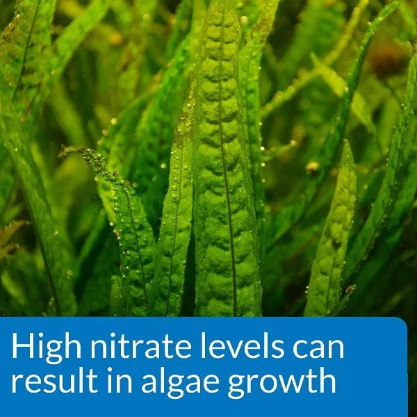 API Nitrate Test Kit