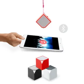 Bluetooth Speaker
