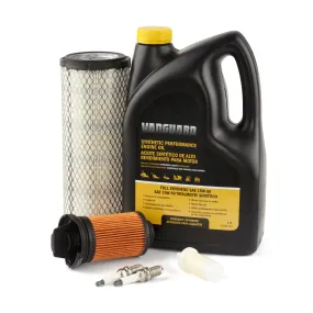 Briggs and Stratton 84002318 Maintenance Kit