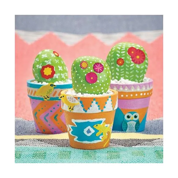 Cactus Rocks