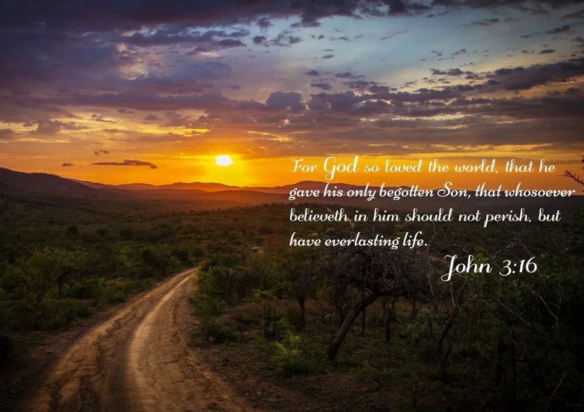 John 316 Kjv #20 Bible Verse Canvas Wall Art - Christian Canvas Wall Art