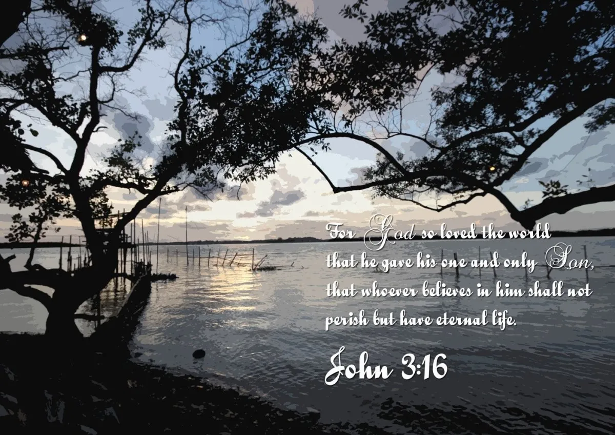 John 316 Niv #24 Bible Verse Canvas Wall Art - Christian Canvas Wall Art