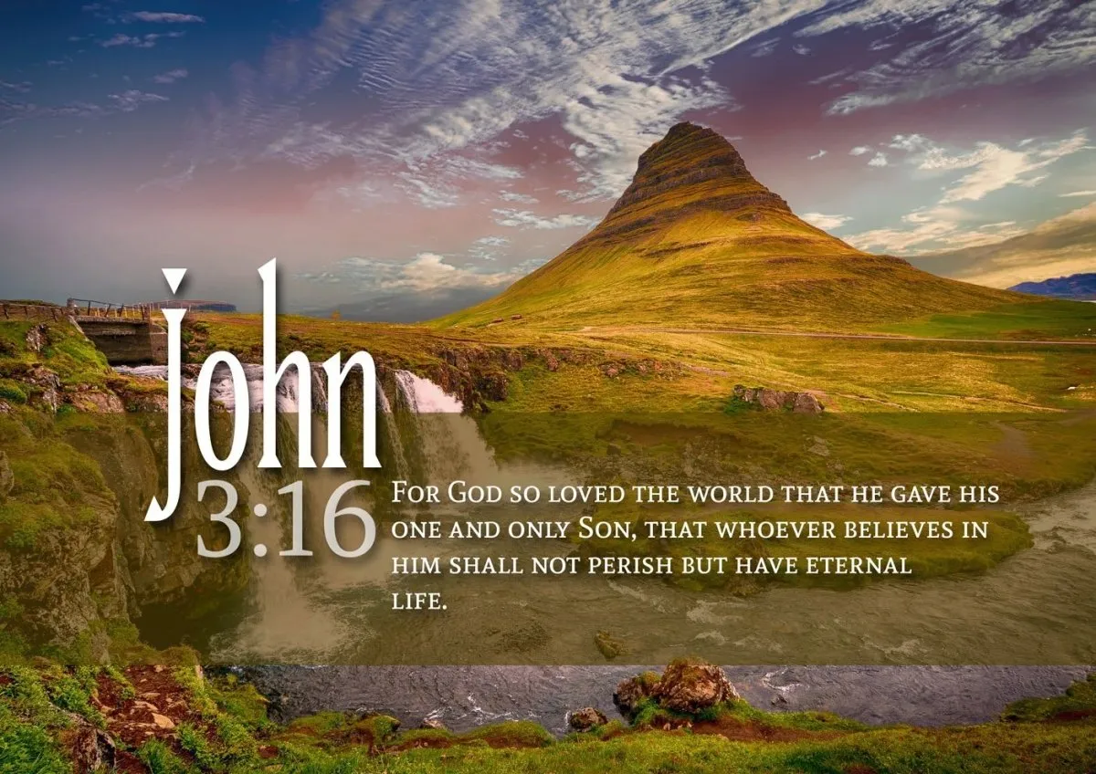 John 316 Niv #27 Bible Verse Canvas Wall Art - Christian Canvas Wall Art