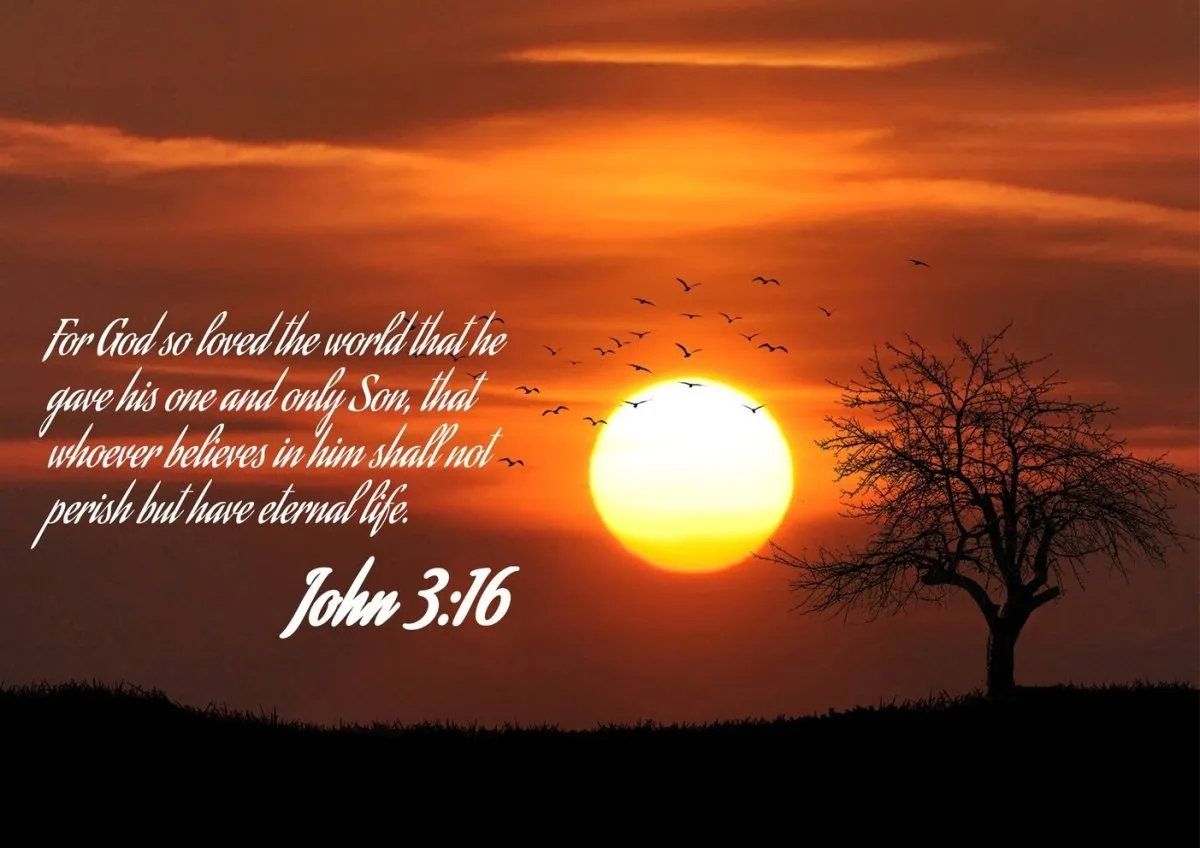 John 316 Niv #6 Bible Verse Canvas Wall Art - Christian Canvas Wall Art
