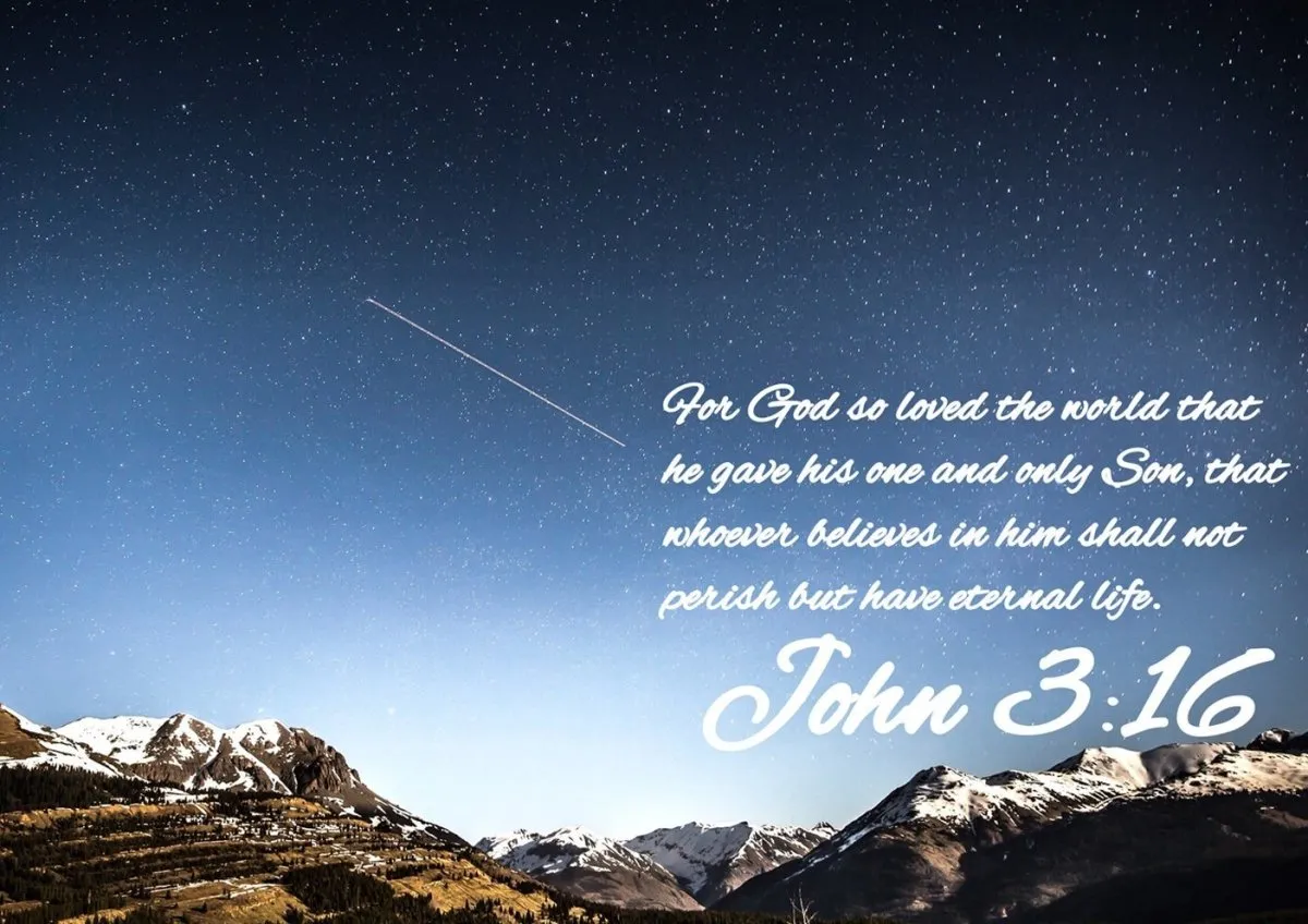 John 316 Niv #7 Bible Verse Canvas Wall Art - Christian Canvas Wall Art