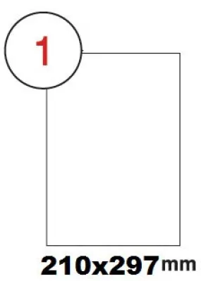 Multi purpose white label-210x297mm (A4)