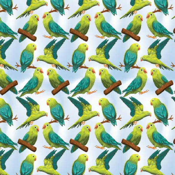 Patterned Heat Transfer Vinyl - Birds