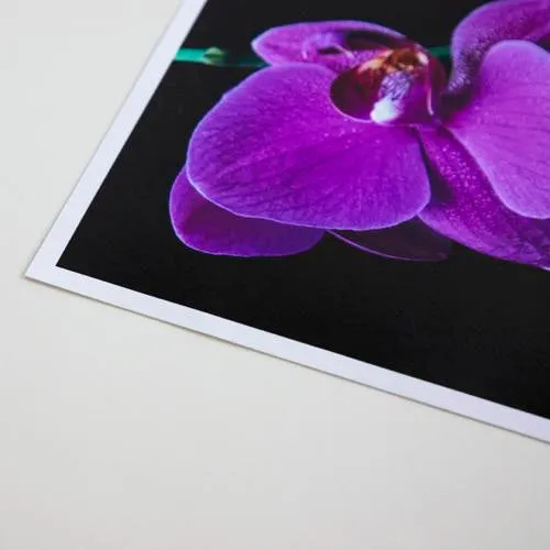 Promaster 3330 Matte 65 Paper 8.5"x11" - 100 Sheets Inkjet