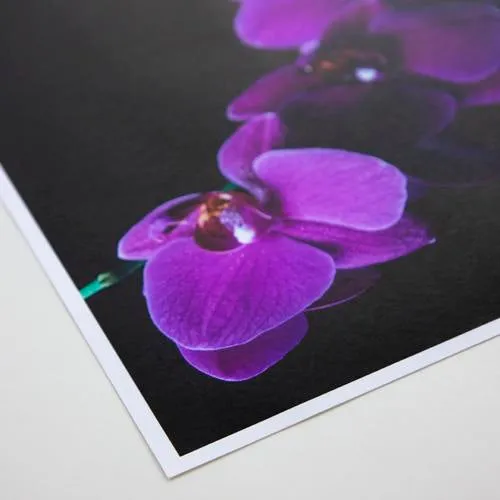Promaster 3330 Matte 65 Paper 8.5"x11" - 100 Sheets Inkjet