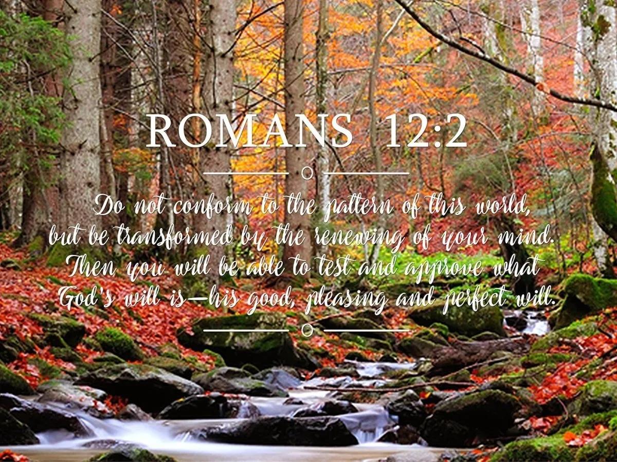 Romans 122 #7 Niv Do Not Conform To The Pattern Bible Verse Wall Art Canvas - Christian Canvas Wall Art