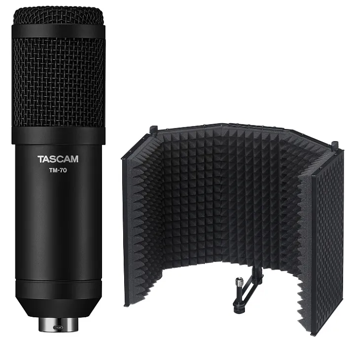 TASCAM TM-70 Dynamic Broadcast Microphone