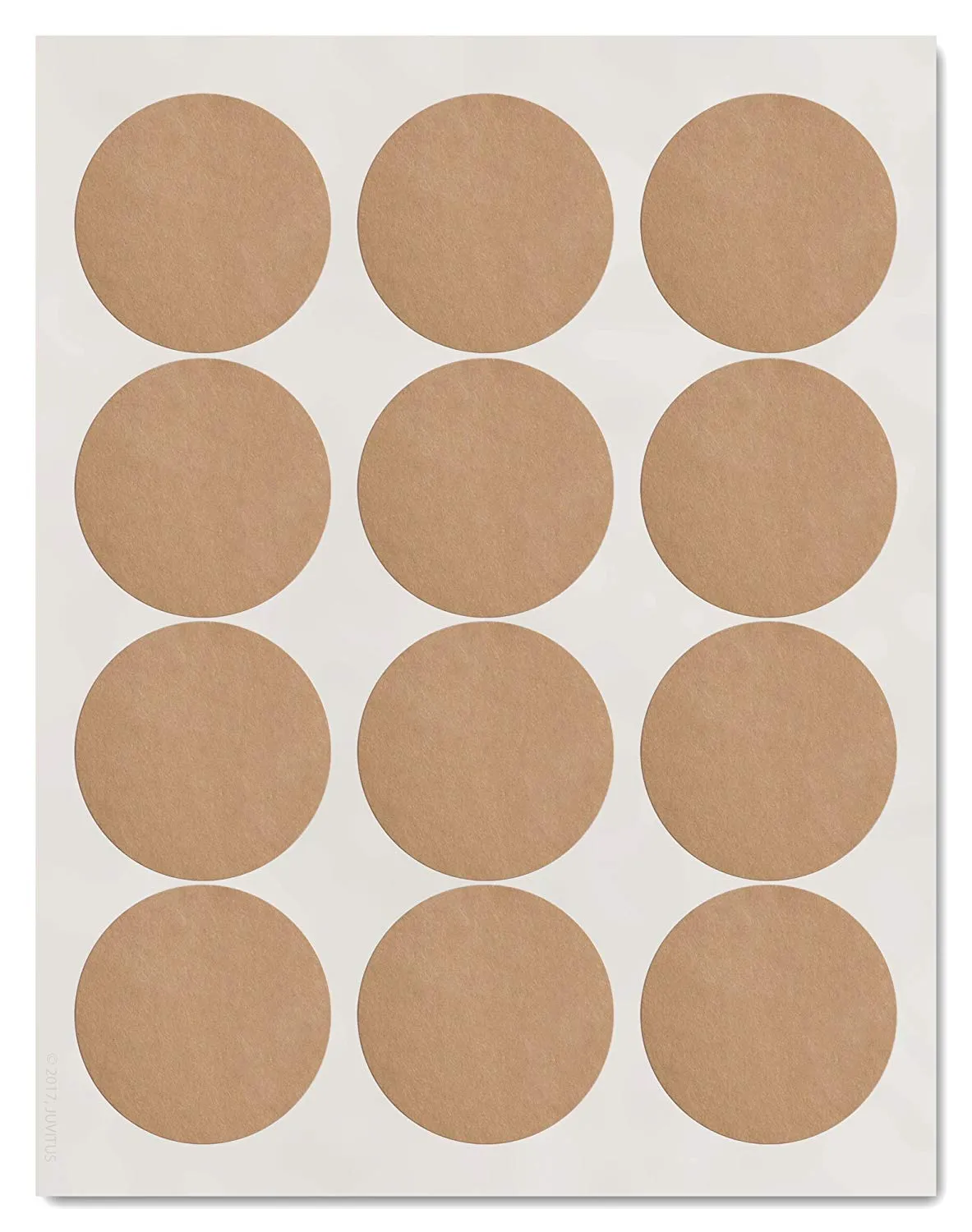 Textured Brown Kraft 2.5 inch Diameter Circle Labels for Laser and Inkjet Printers with Template and Printing Instructions, 5 Sheets, 60 Labels (BK25)
