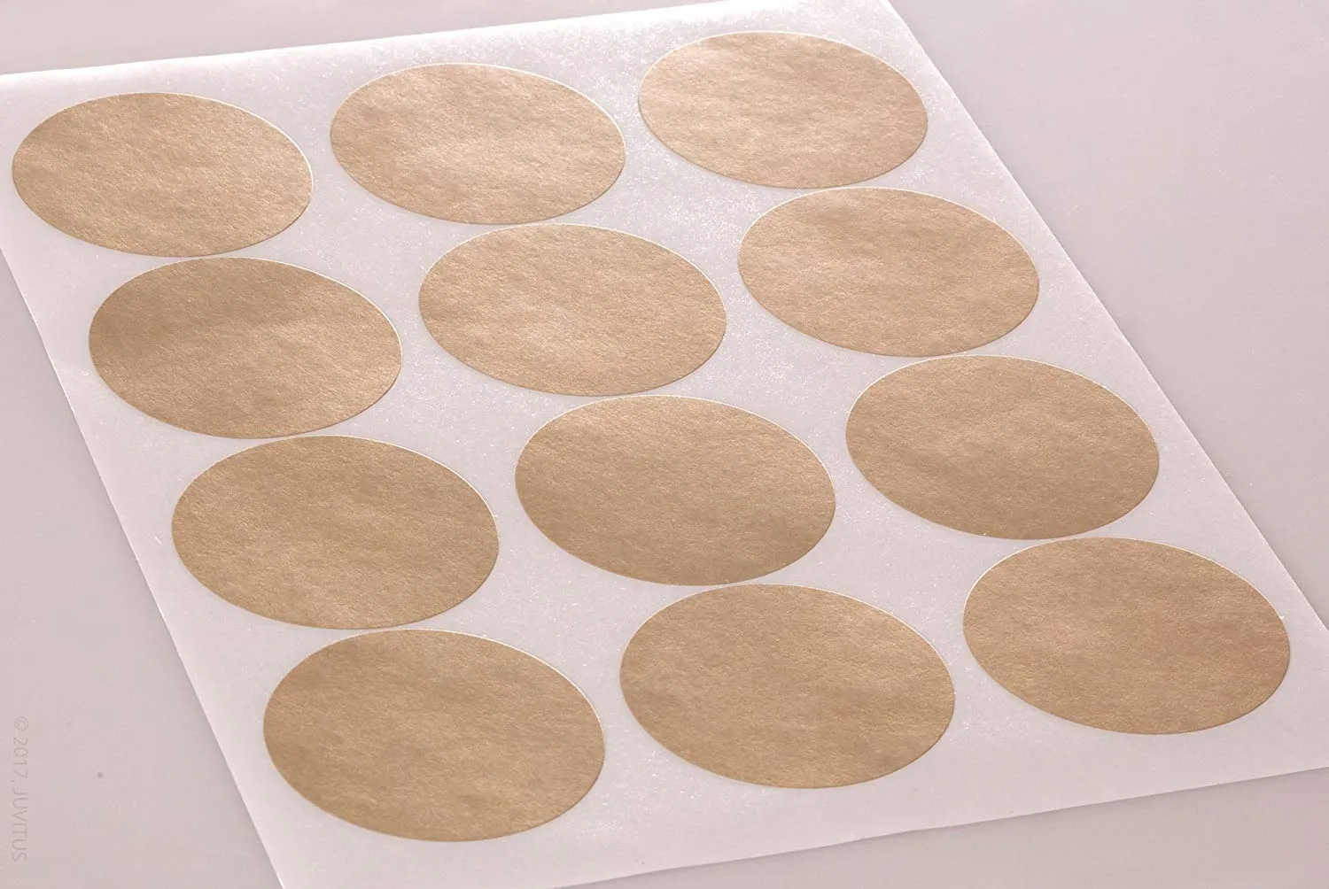 Textured Brown Kraft 2.5 inch Diameter Circle Labels for Laser and Inkjet Printers with Template and Printing Instructions, 5 Sheets, 60 Labels (BK25)