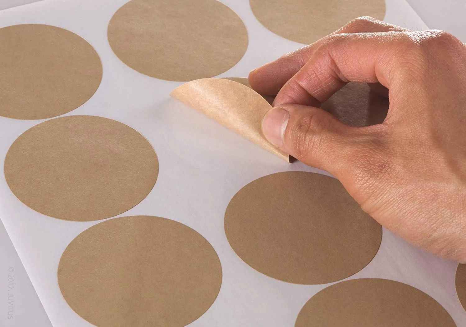 Textured Brown Kraft 2.5 inch Diameter Circle Labels for Laser and Inkjet Printers with Template and Printing Instructions, 5 Sheets, 60 Labels (BK25)
