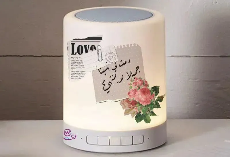 Touch-Lamp speaker- lovers