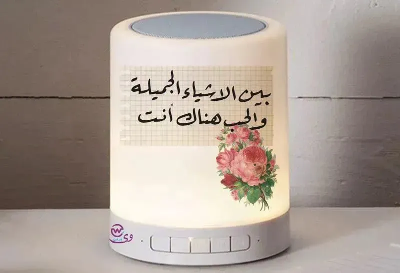 Touch-Lamp speaker- lovers