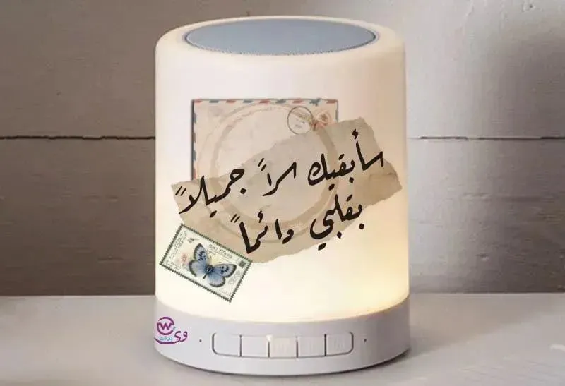 Touch-Lamp speaker- lovers