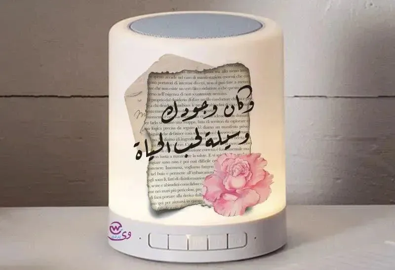 Touch-Lamp speaker- lovers