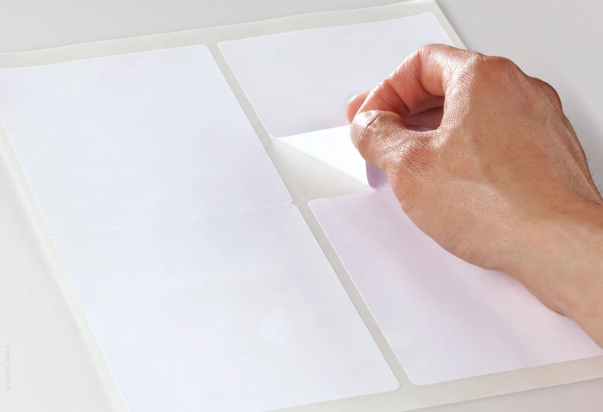 White Matte Rectangle Labels, 4 x 5 Inches, with Template and Printing Instructions, 5 Sheets, 20 Labels (XR45)